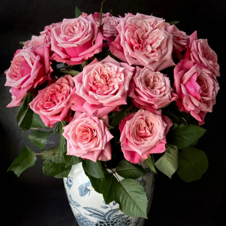 【美好假日】闺蜜玫瑰10支