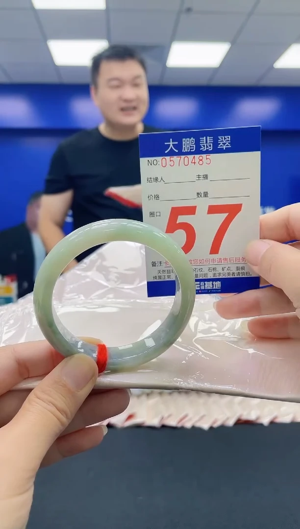 未镶嵌手镯翡翠AAAAAAAAAA