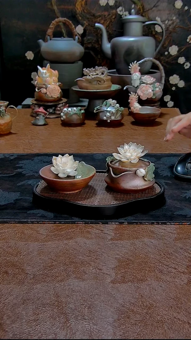 黄老师睡莲宝瓶套装