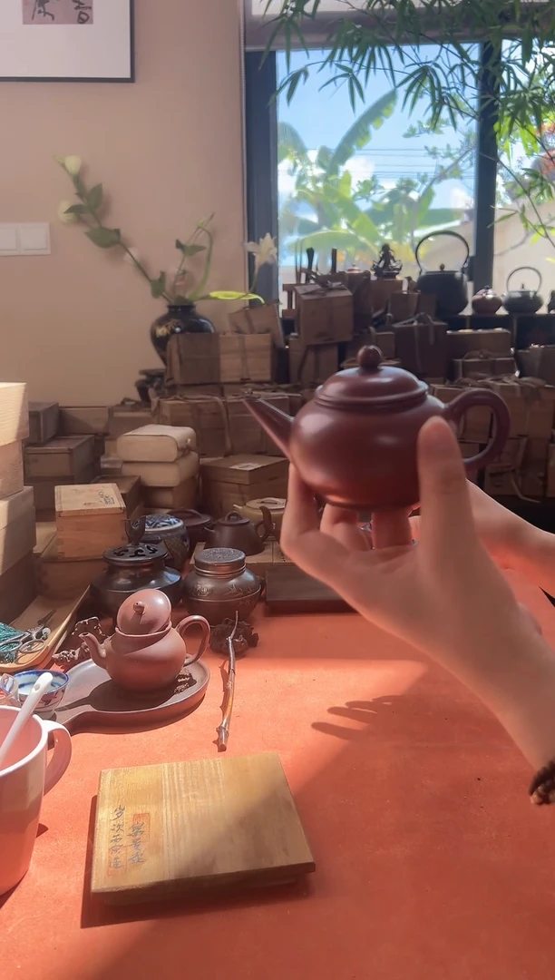 聪**年一个紫砂哈哈