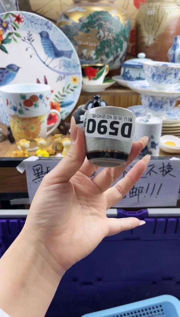 放****1==============d590