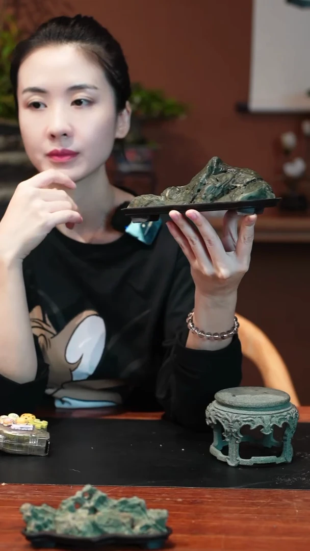 无花朵九龙壁盆景盆景盆景