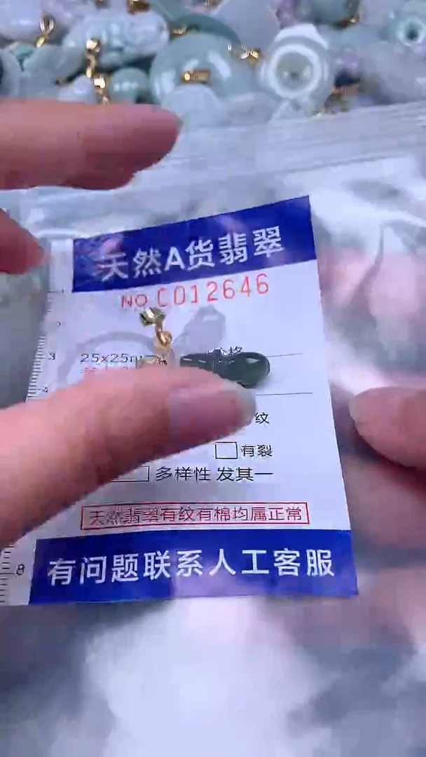 翡翠未镶嵌吊坠(不含链)1