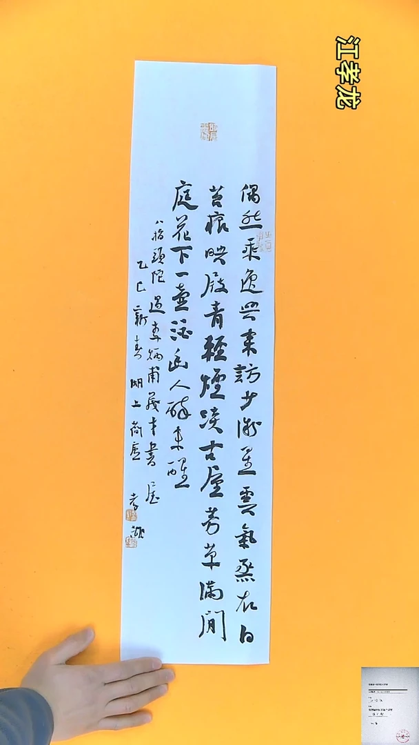 【闪购商品】书法江孝龙获奖同款字体偶然17*69