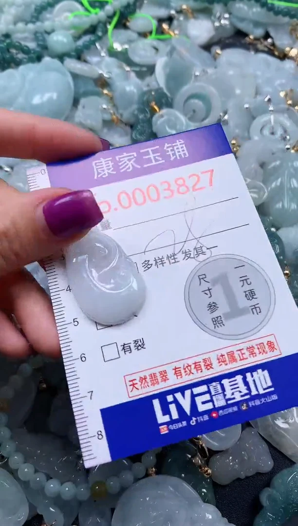 颈饰未镶嵌翡翠3827