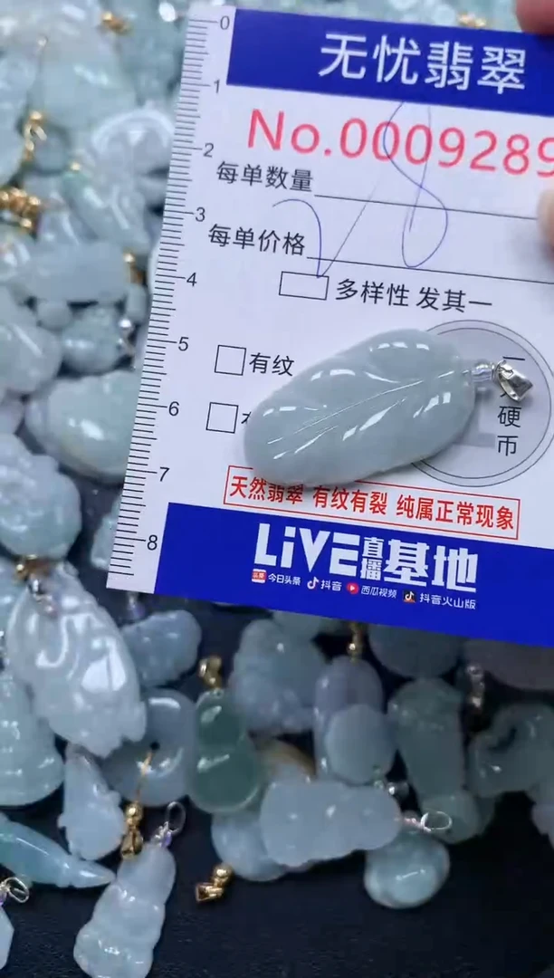 颈饰未镶嵌翡翠9289