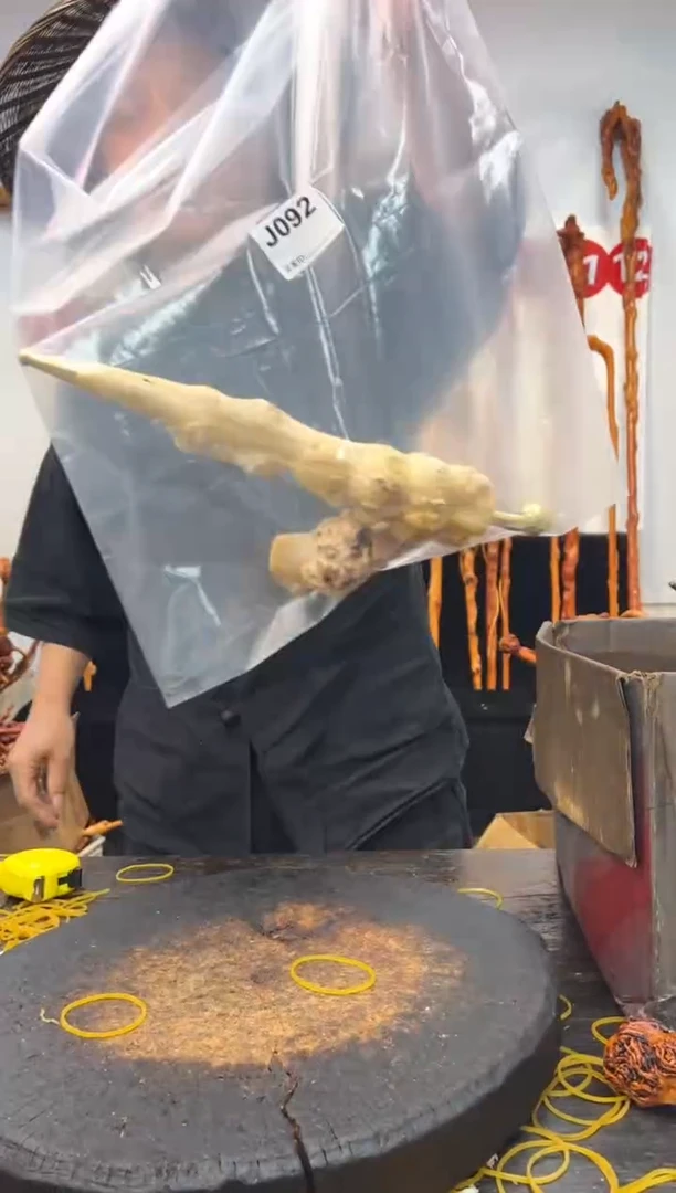 黑果木其他黑果木221