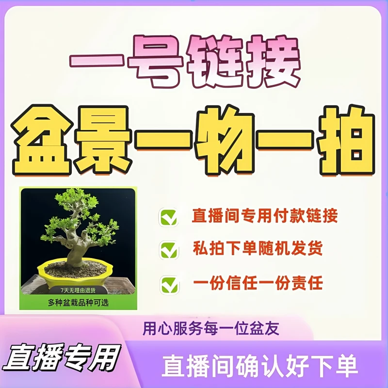 1：盆景一物一拍，直播间专用一号链接