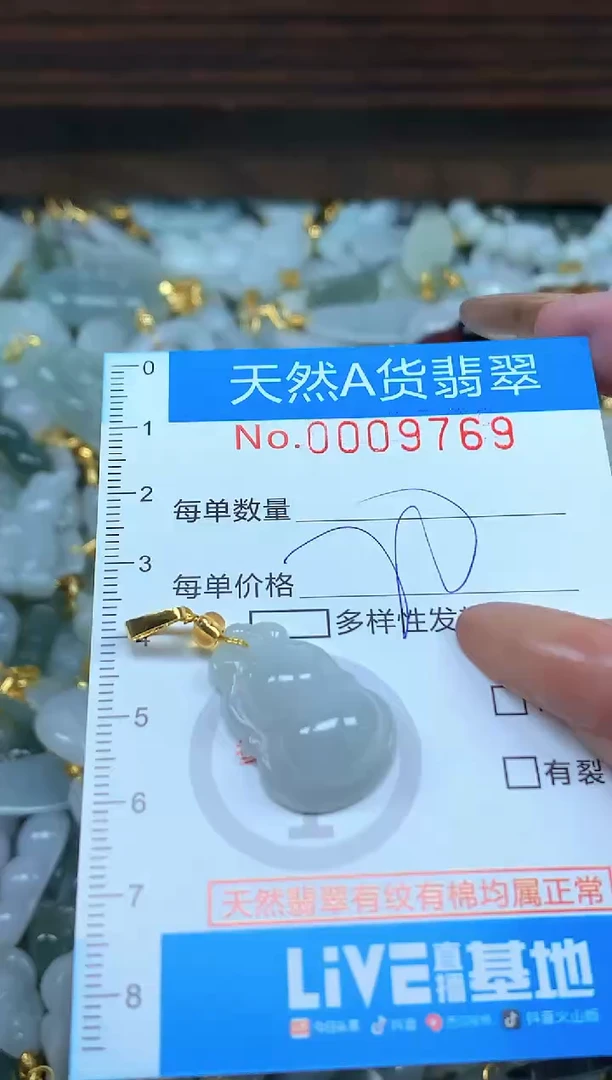 颈饰未镶嵌翡翠净货挂件-9769