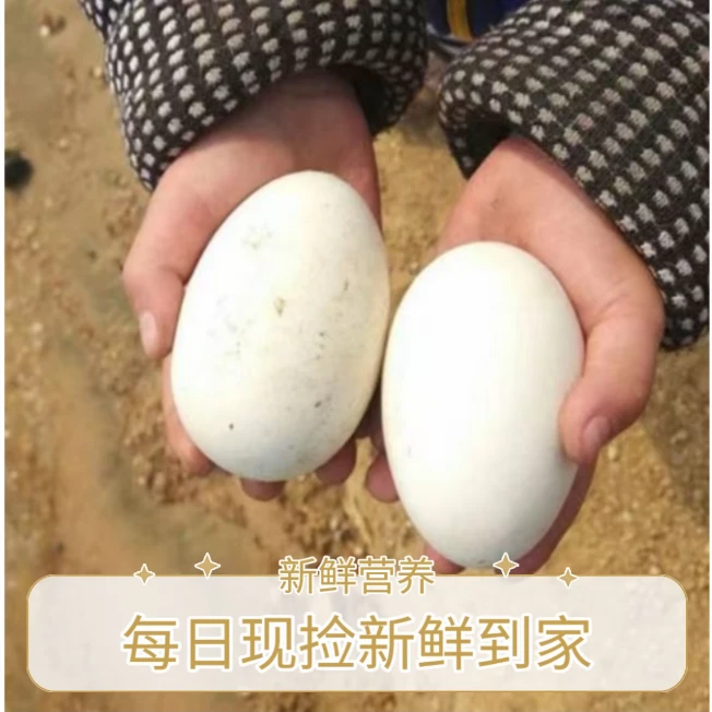 到手20枚农家营养蛋新鲜日期现捡现发笨大鹅蛋20枚装可卤可煮可蒸
