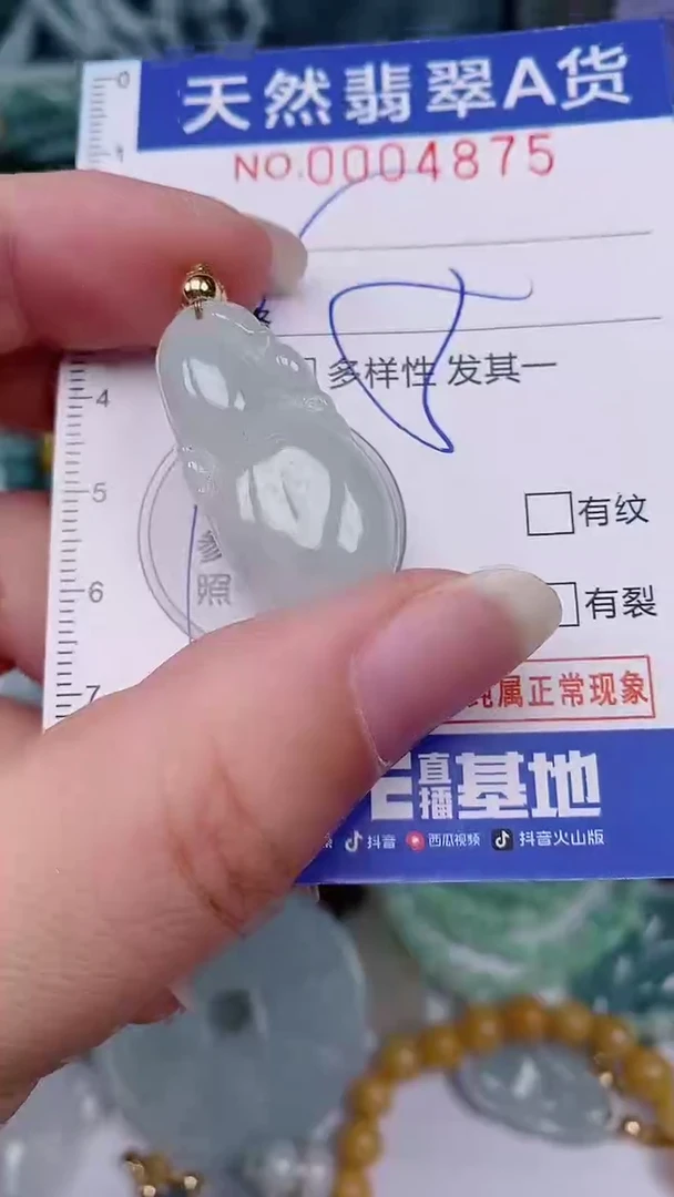 翡翠未镶嵌颈饰00004875