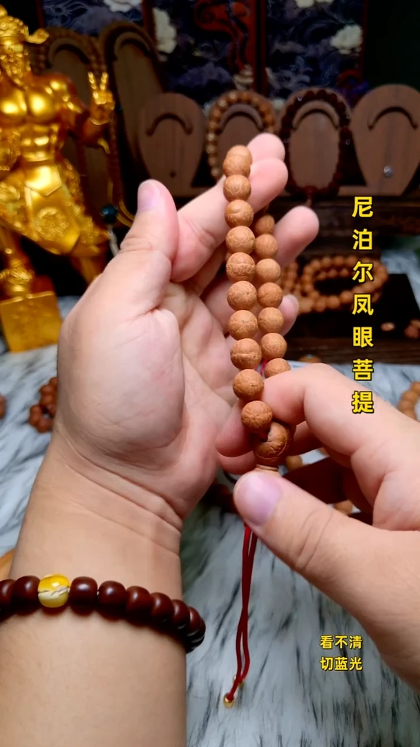 手串凤眼菩提新籽11