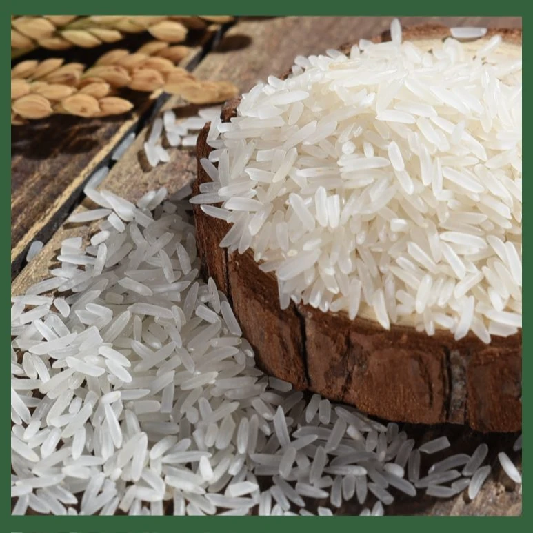 南方正宗长粒香米晚稻长粒大米5kg真空包装