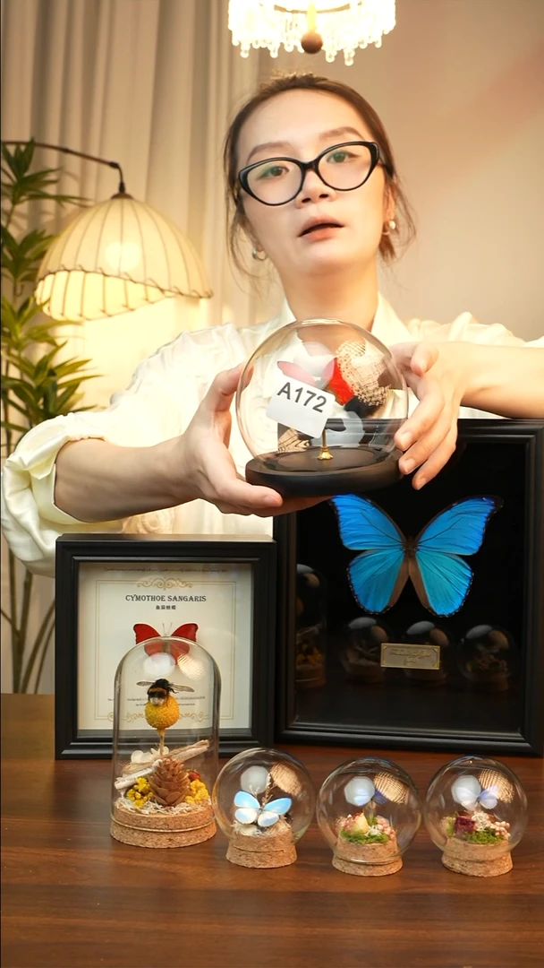 血漪蛱蝶真蝴蝶标本A172