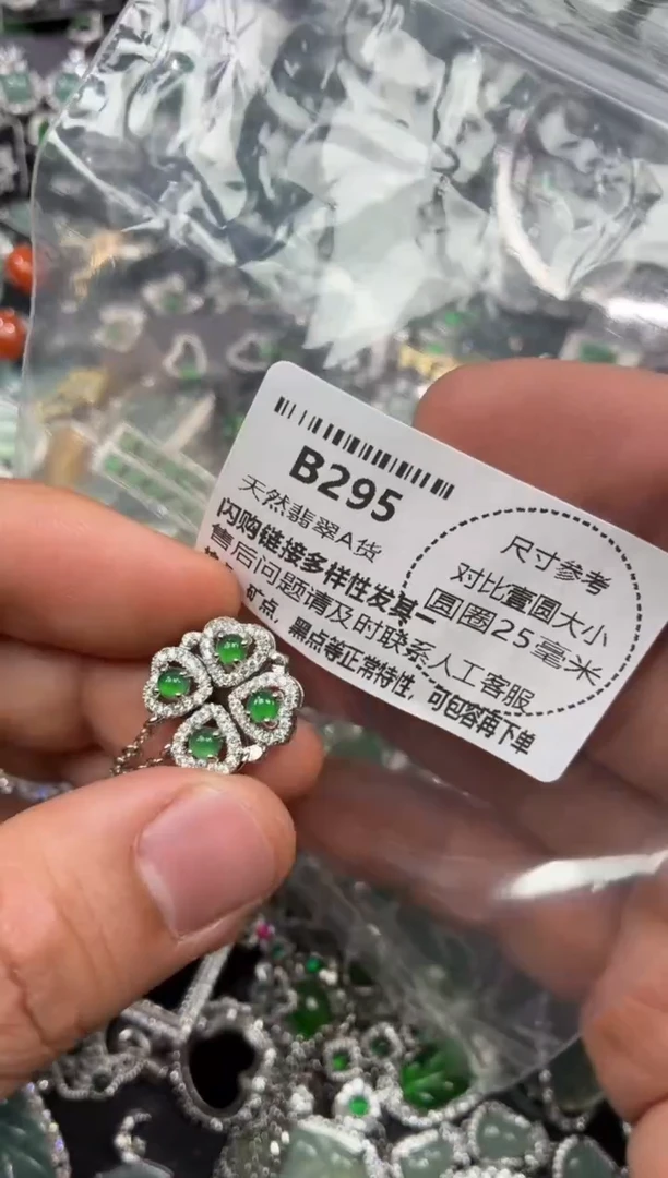 颈饰未镶嵌翡翠B295项链