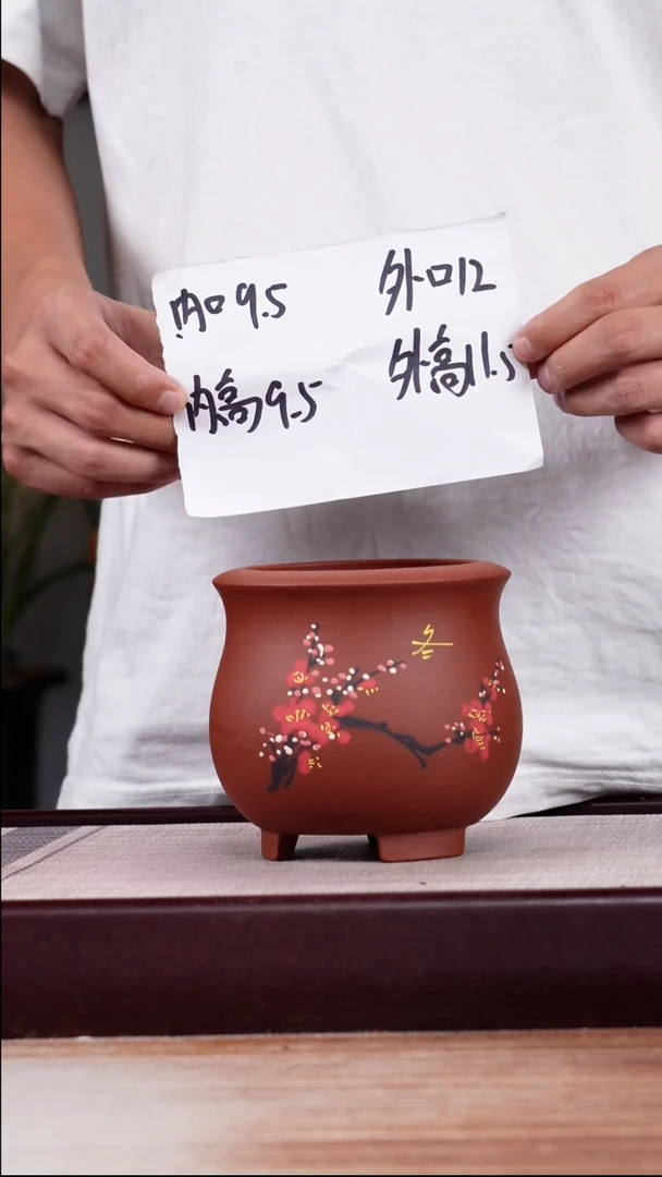 紫砂花盆清水泥冬日腊梅一个带托