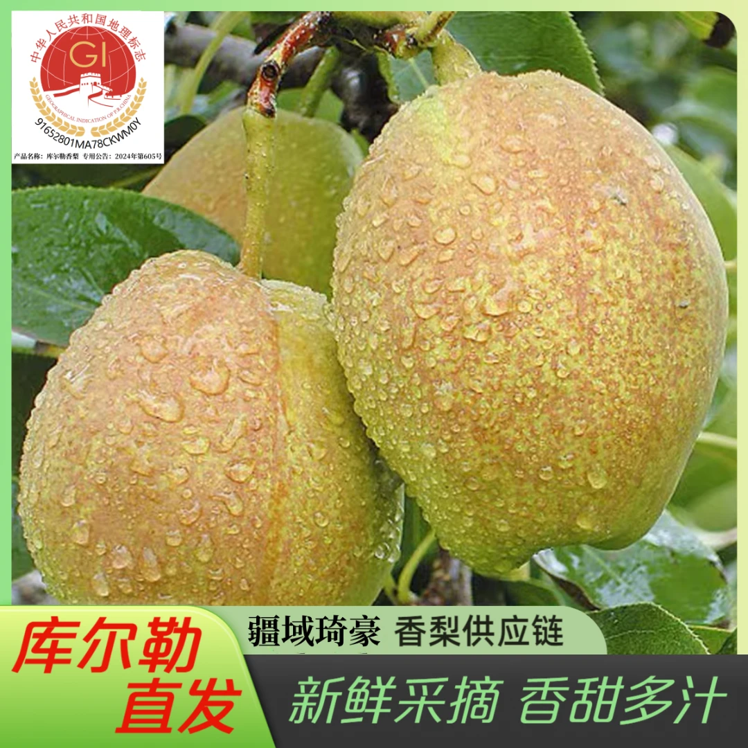 【顺丰库尔勒直发】新疆库尔勒香梨新鲜应季水果库尔勒香梨10斤带箱