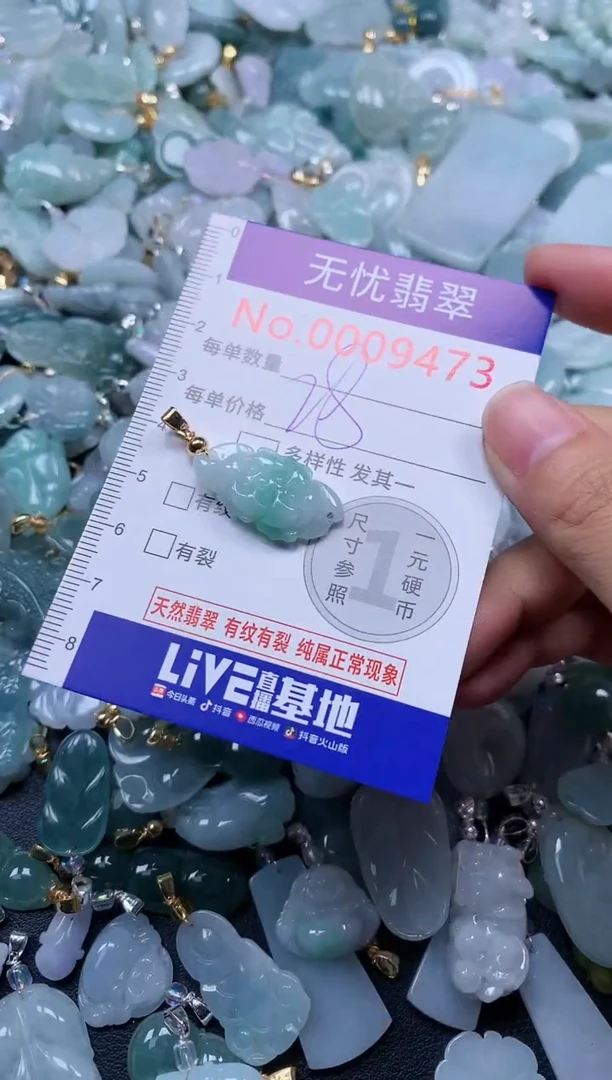 颈饰未镶嵌翡翠9473