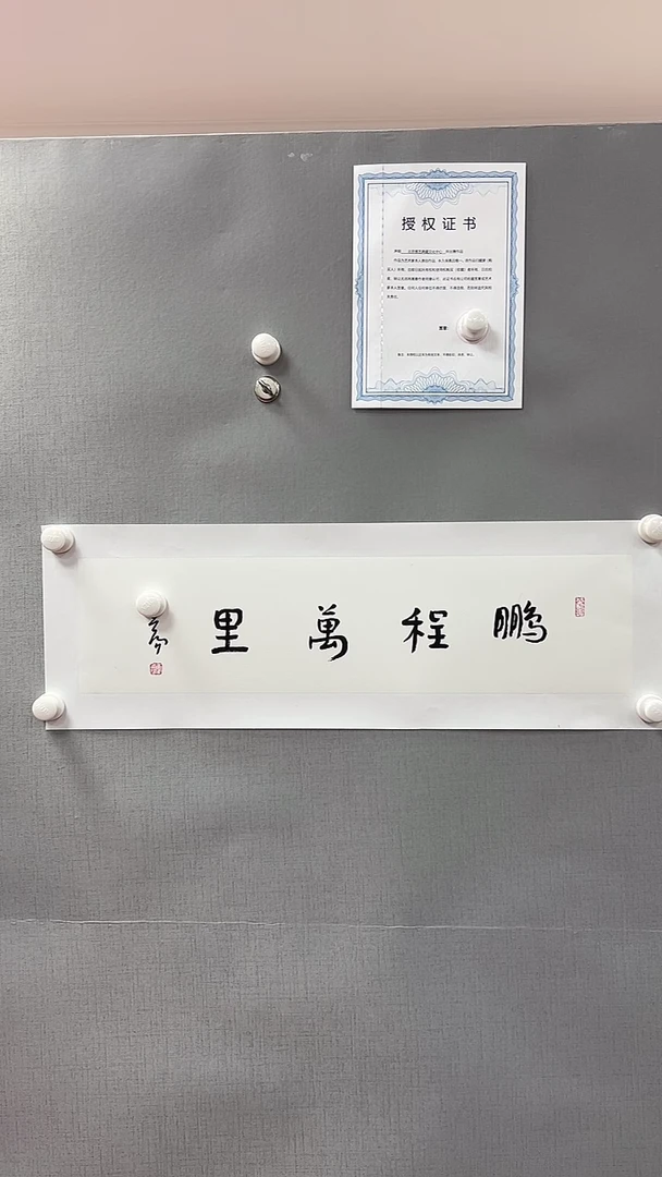 【闪购商品】书法北京雅艺典藏 去伪存真 为您保