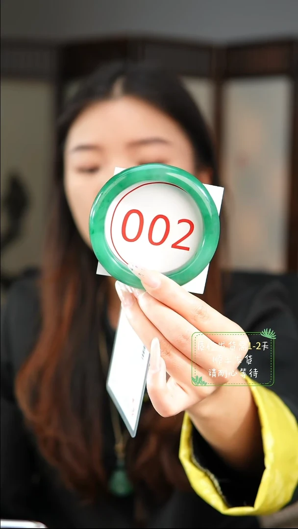 未镶嵌手镯石英质玉（非洲翠）5859
