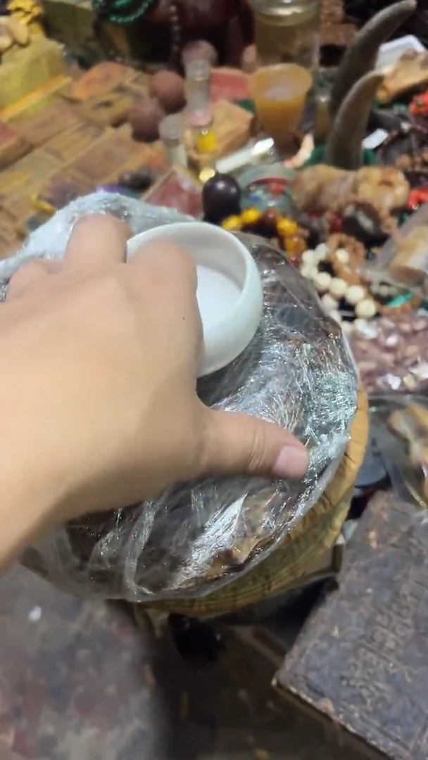 紫砂紫砂紫砂紫砂紫砂紫砂