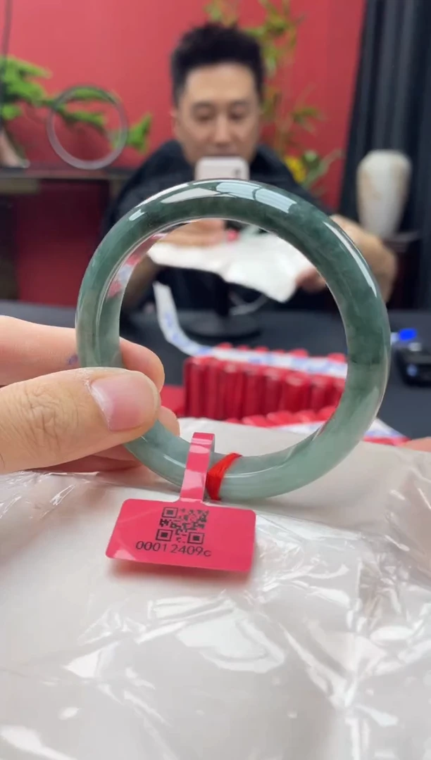 未镶嵌手镯翡翠5