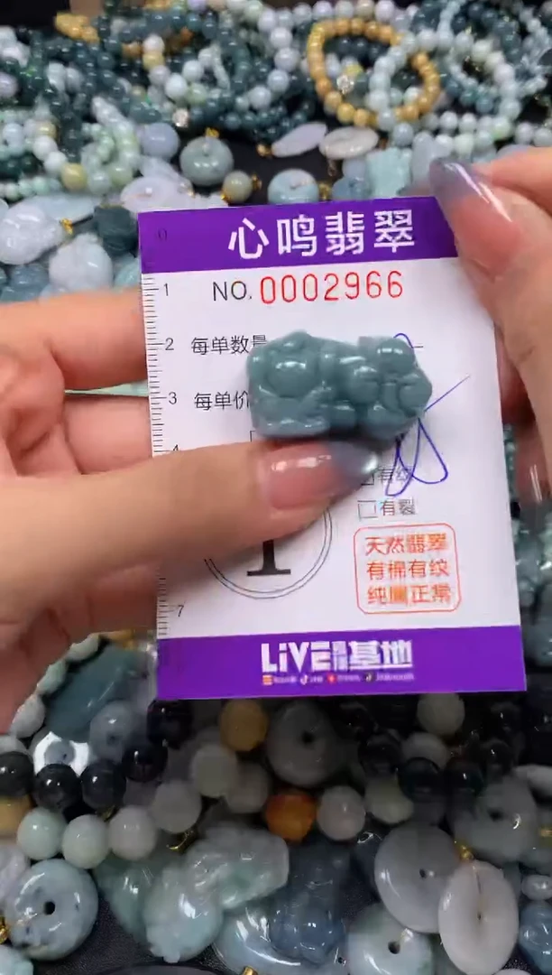 颈饰未镶嵌翡翠闪购002966