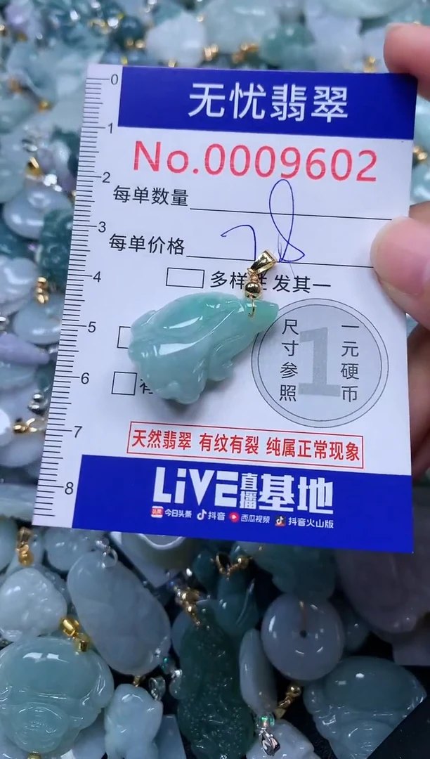 颈饰未镶嵌翡翠9502