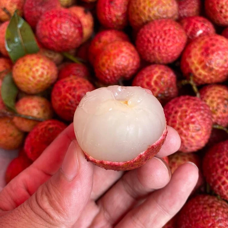 【周谷堆水果】玉荷包荔枝净重4.5斤清甜爆汁脆嫩无渣果肉饱满（26）