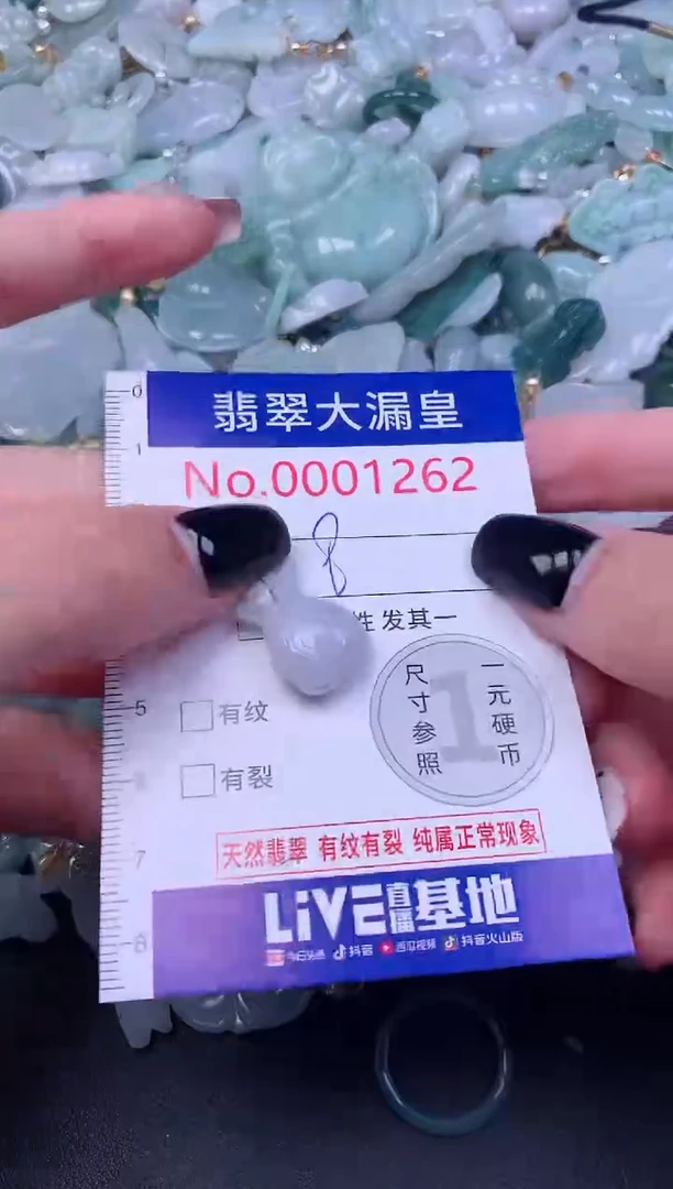 颈饰未镶嵌翡翠1262