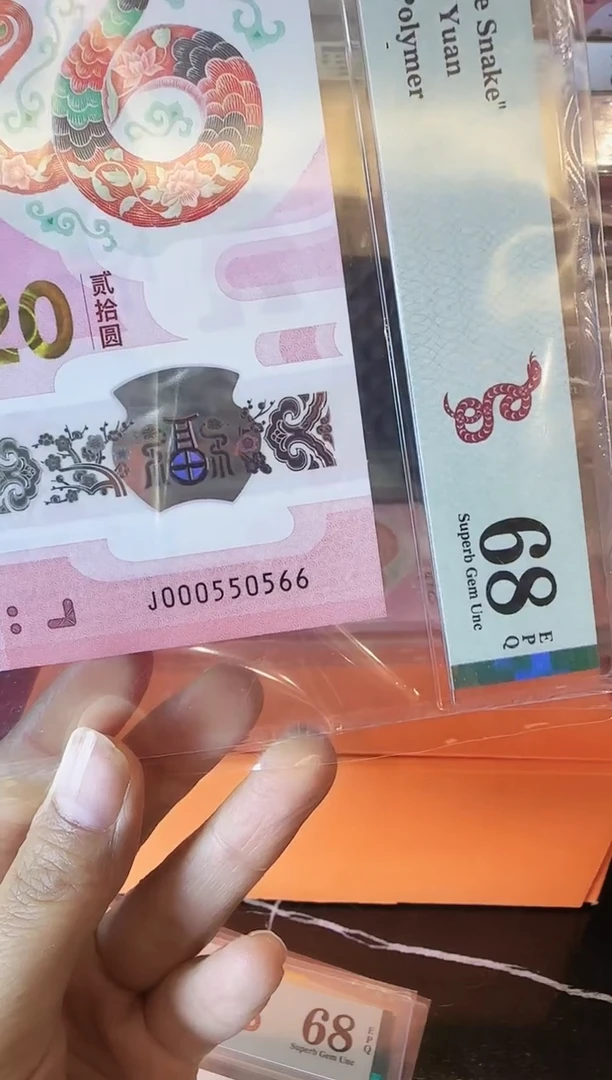 塑料超***飞2025  蛇钞  单张 啊啊啊