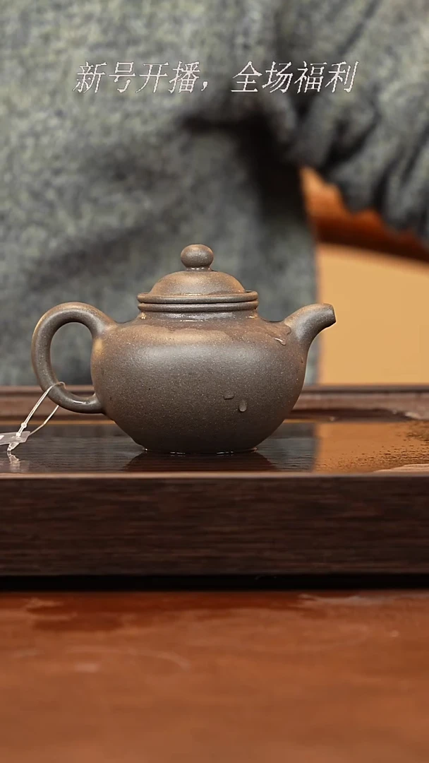 茶壶紫砂26y55鲨皮青掇只