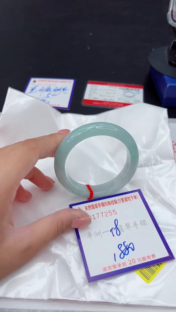 未镶嵌手镯翡翠1