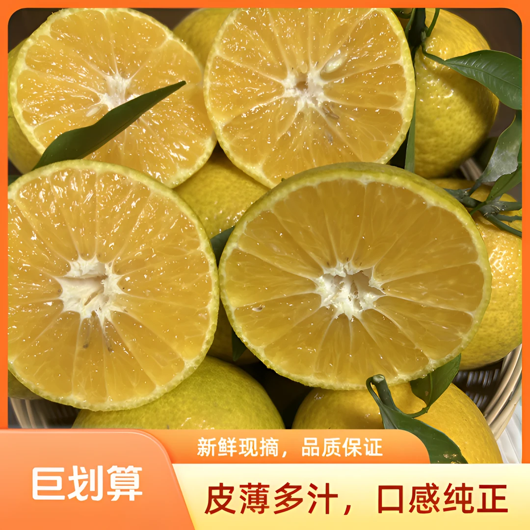 【自然成熟无添加】现摘现发四川新品柑橘黄金果脆甜多汁