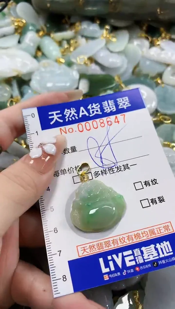 颈饰未镶嵌翡翠天然A货翡翠