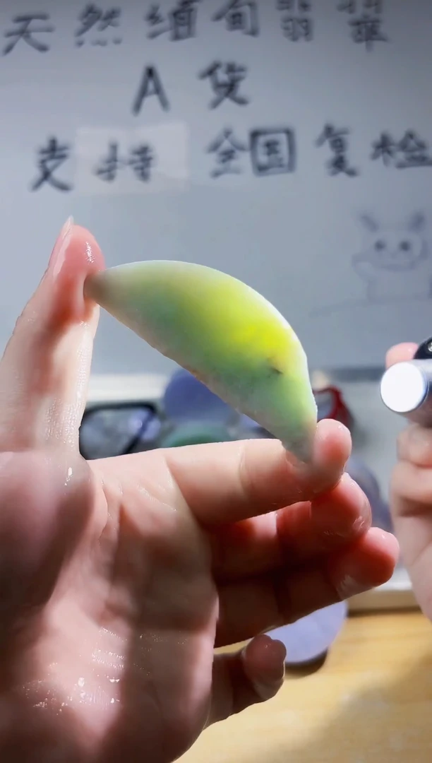 颈饰未镶嵌翡翠翡翠A货 丹 845