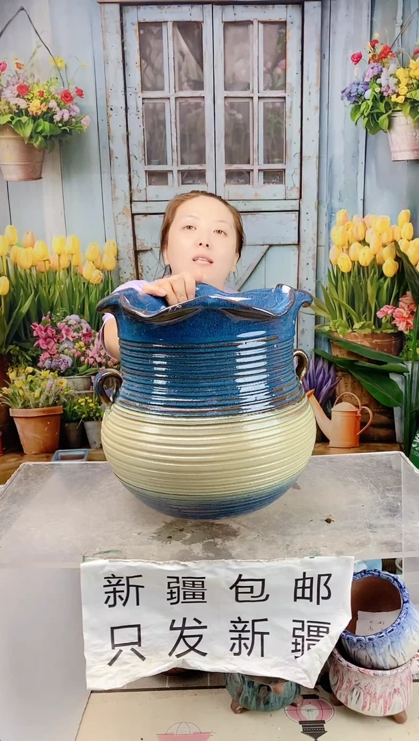 009花篮陶盆一个装  口28高27