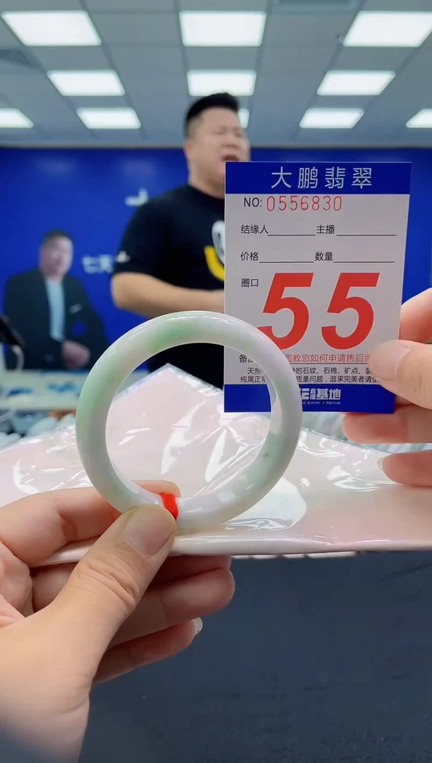未镶嵌手镯翡翠AAAAAAAAAA