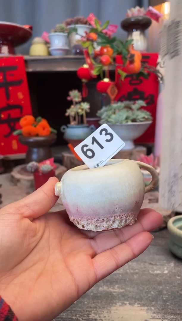 【闪购商品】摆件613微瑕知木小芳花盆