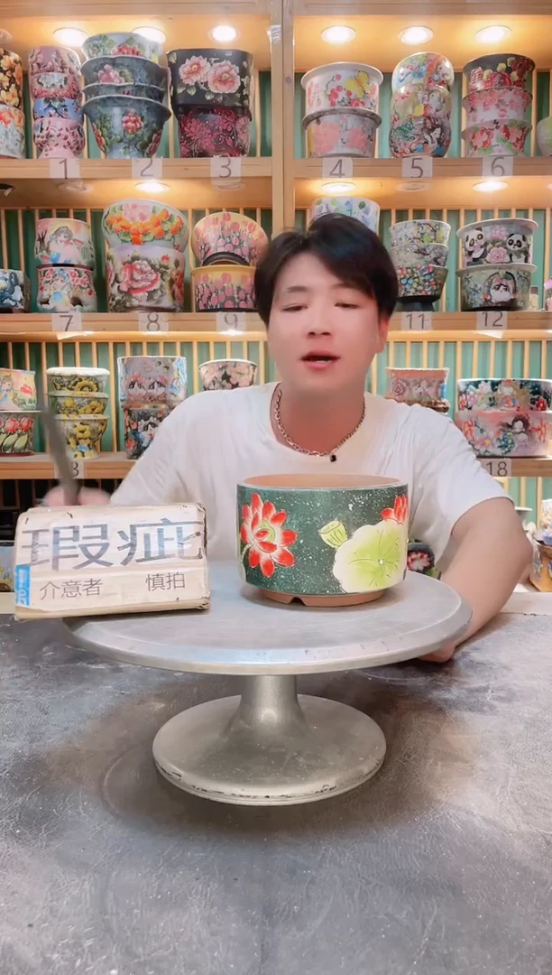 瓷片默认微瑕一物一拍0905-495