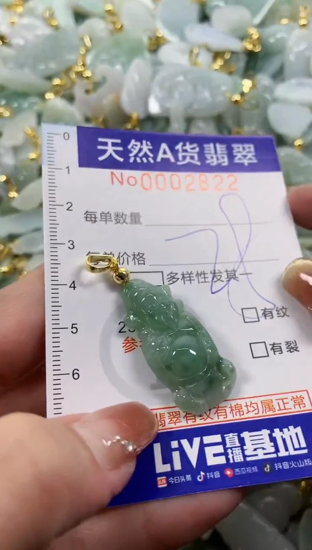 颈饰未镶嵌翡翠天然A货翡翠