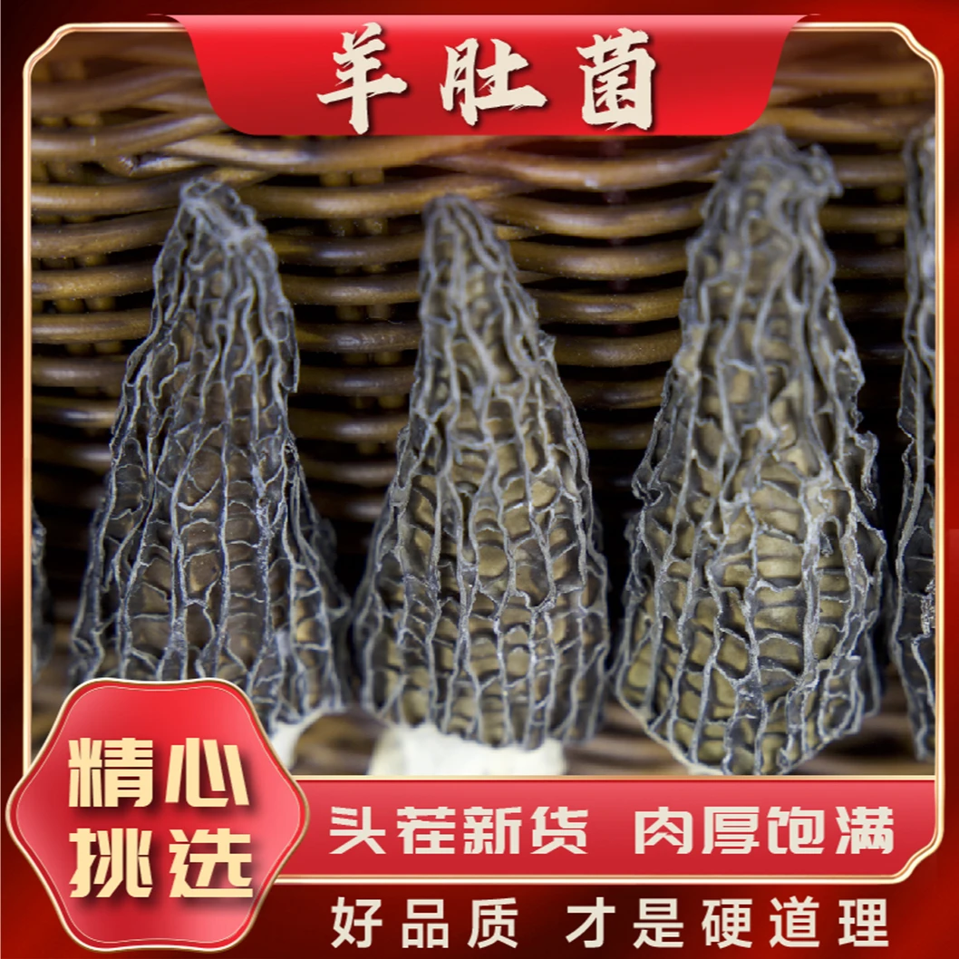 【买10颗送20个颗】干羊肚菌专享回馈炖汤羊肚菌干货