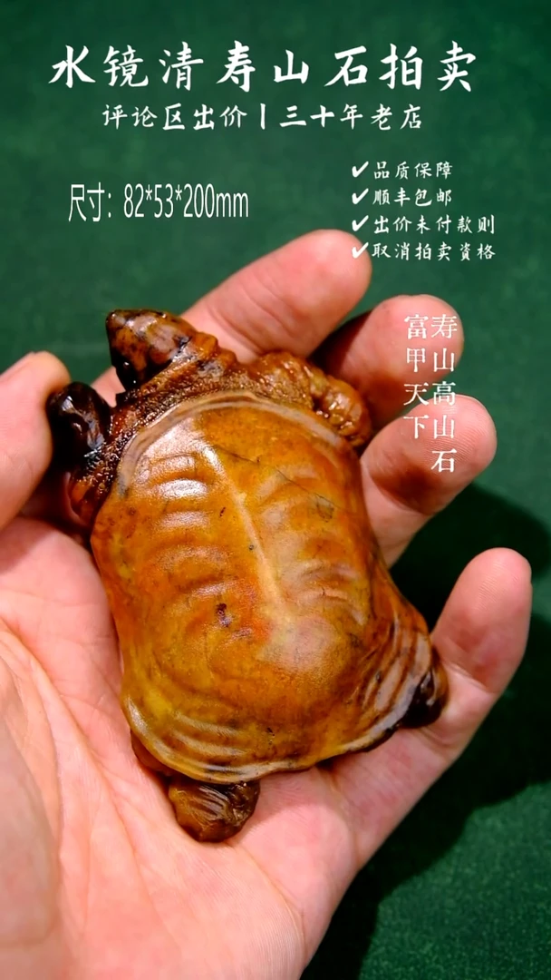 寿山石印石上**风寿山高山石 富甲天下
