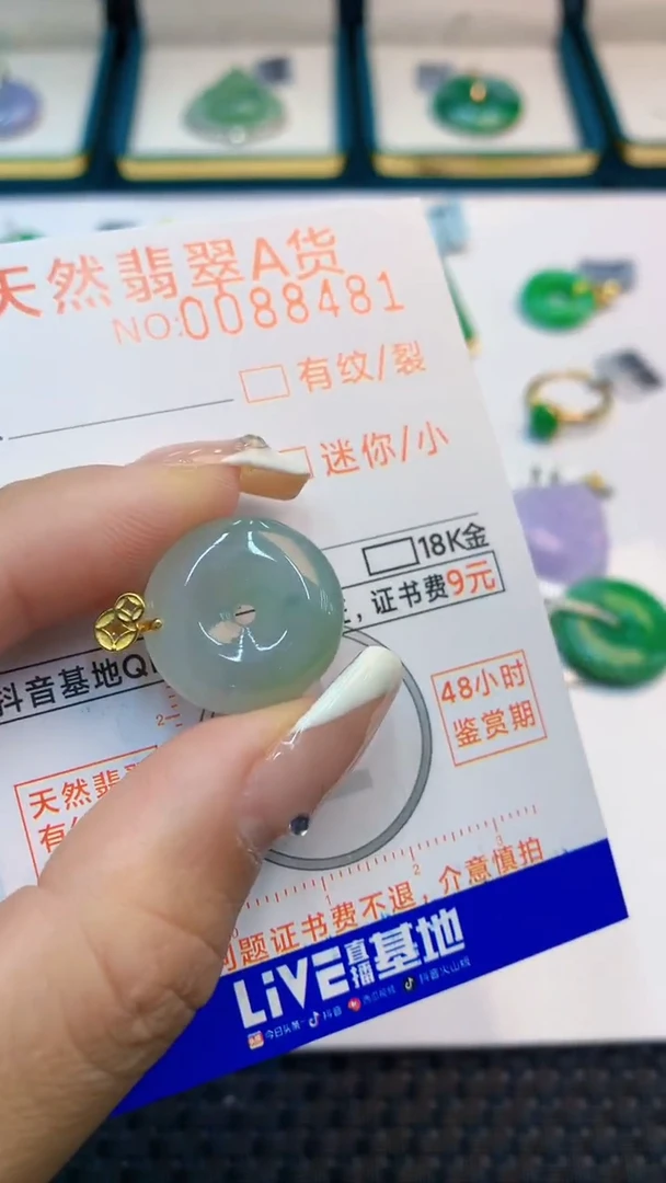 翡翠未镶嵌颈饰