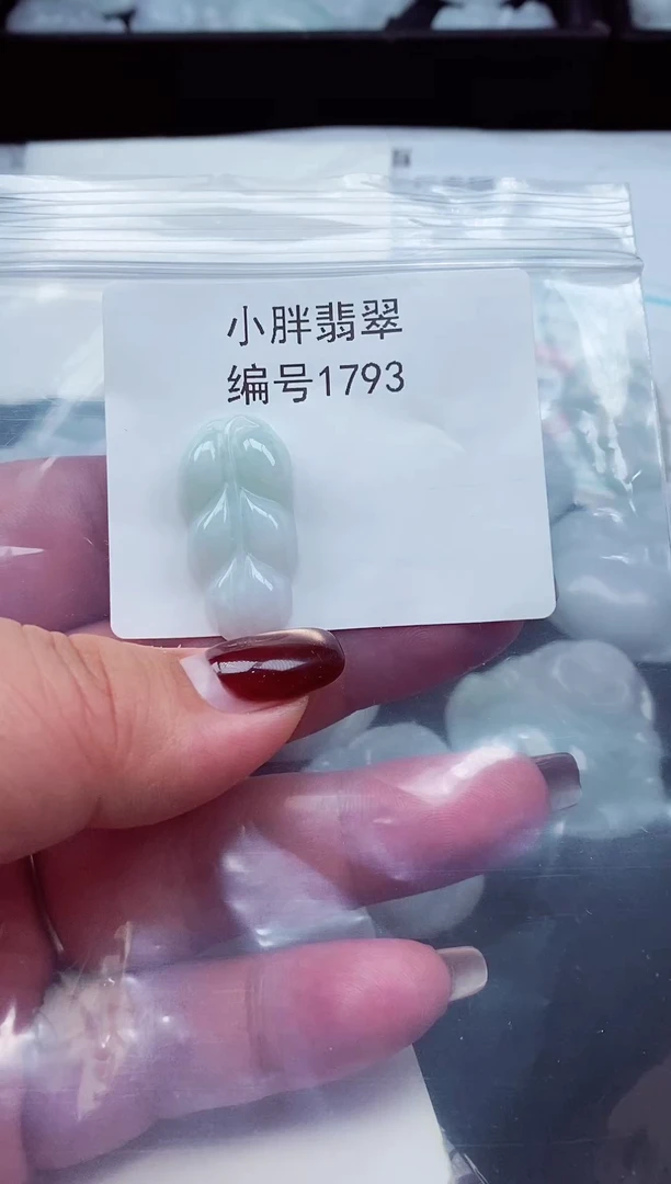 颈饰未镶嵌翡翠缅甸天然A货翡翠1793