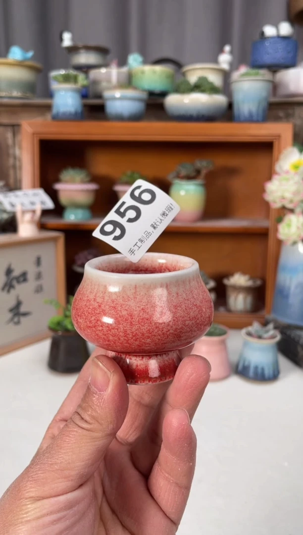 瓷片956小芳直播编号