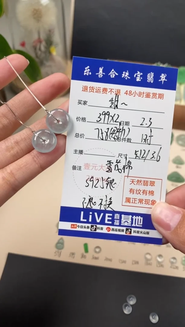 【闪购商品】翡翠颈饰银S925镶嵌翡翠冰种平安扣