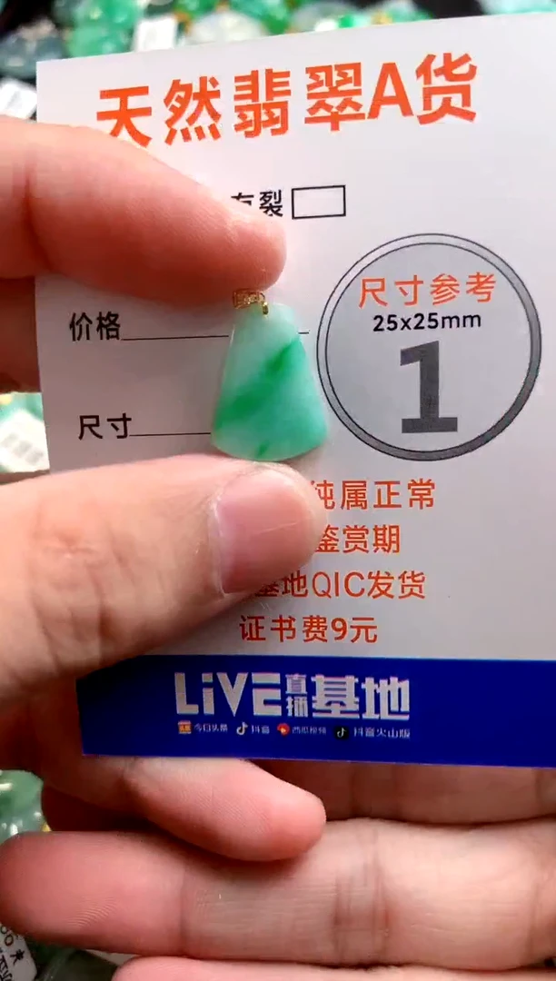 颈饰18K金镶嵌翡翠0885549503