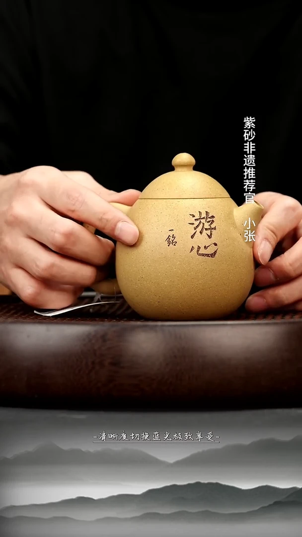 茶壶紫砂19 芝麻段 龙蛋 220c