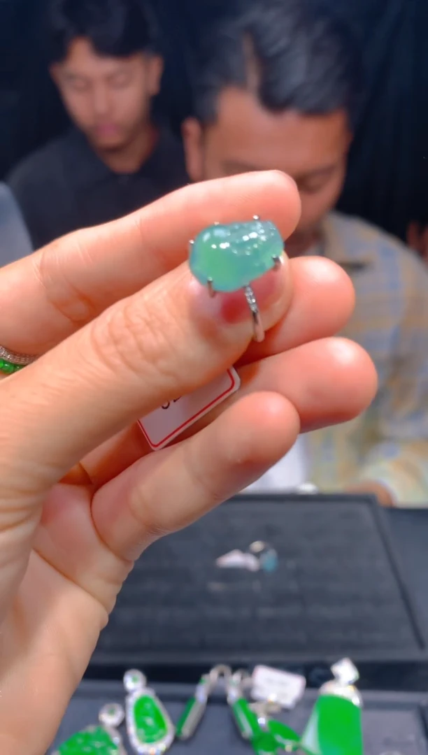 【闪购商品】定制翡翠未镶嵌130多样性发货（发其一）